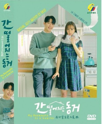 KOREAN DRAMA DVD MY ROOMMATE IS GUMIHO VOL.1-16 END ENGLISH SUBTITLE +FREE SHIP