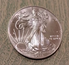 2013 American Eagle Silver Dollar