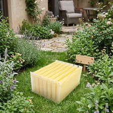 Auto Honey Beehive Frames x7 Beekeeping Supplies Beehive Frames Honey Bee Frame