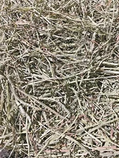 Fox Peak Timothy Hay Rabbits, guinea pigs, chinchilla food free shipping 10+ lb.