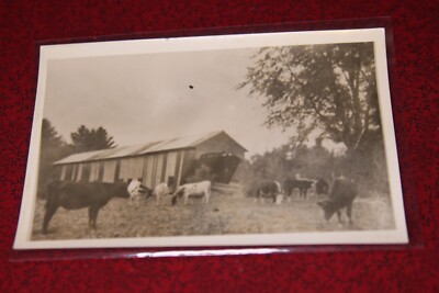Hemlock Covered Bridge (View 1), East Freyburg Maine Postcard - Real Photo RPPC