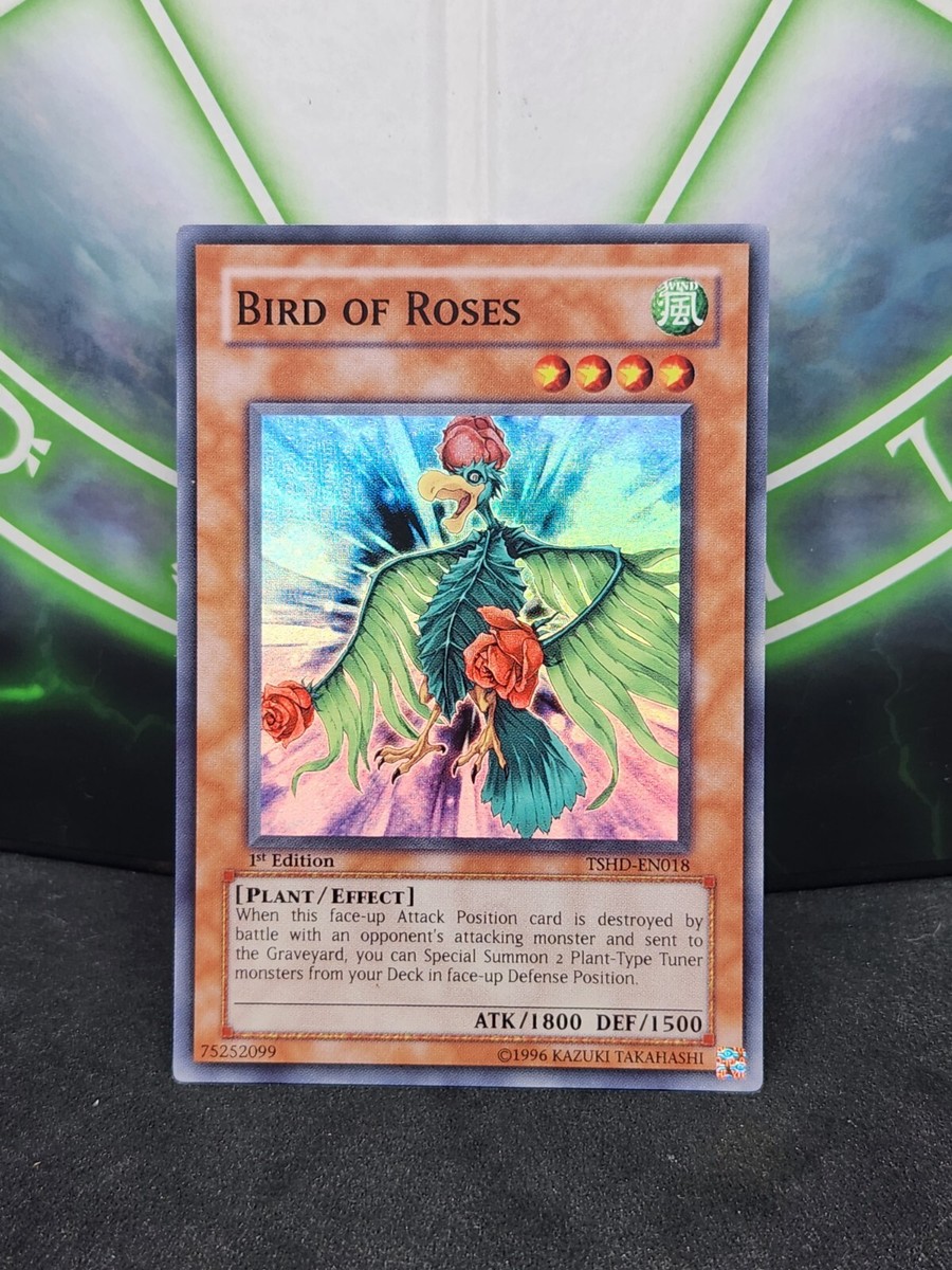 simplified chinese 151 booster box Pokemon Collect 151 Hope Simplified Chinese Jumbo Booster Box
