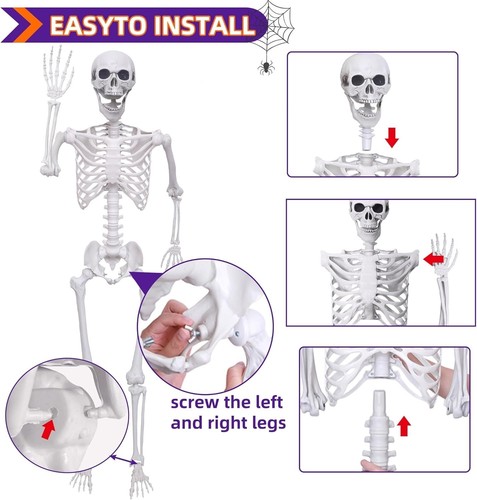 5.4ft Halloween Skeleton Poseable Skeleton Life Size Full Body Human Skeleton US - Picture 6 of 7