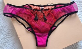 Agent Provocateur 'MEGAN'  AP2 Briefs - Hot Pink Red Lace + Black