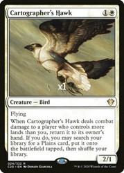 Cartographer's Hawk 024/322 Commander 2020