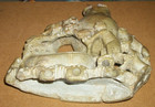 ANTIQUE VINTAGE CHINESE HAND CARVED SOAPSTONE BRUSH POT, INKWELL, INCENSE BURNER — photo 9