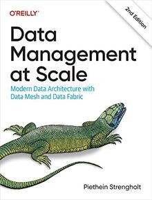 Data Management at Scale: Modern Data Architecture ... | Buch | Zustand sehr gut