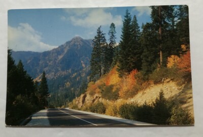 Stevens Pass Hwy Leading Over The Cascade Mountains In Wash. Postcard (T1)