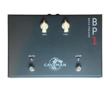 Caveman Audio BP1W Wireless Input