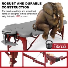 Beauty Massage Table Height Adjustable with Carrying Bag for Physiotherapy Shops