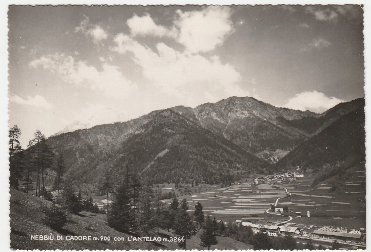 NEBBIU' DI CADORE - BELLUNO - ANTELAO - VIAGG. 1952 -19853-