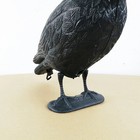 Picture 17 of 24