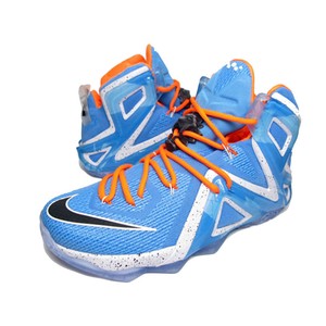 lebron 12 elite elevate