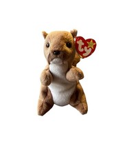 TY Beanie Babies Nuts the Squirrel Plush 1996 - New