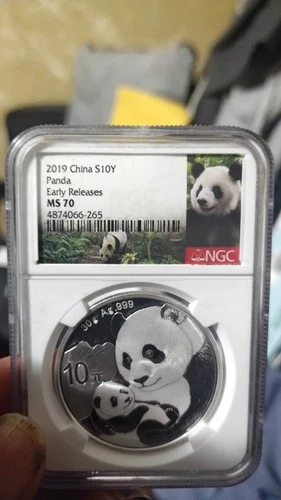 2019 China Silver Panda Early Releases NGC MS70 S10Y 1oz .999