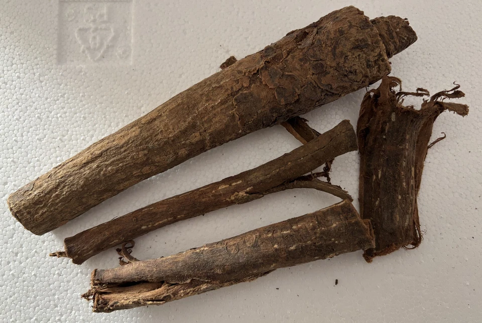 AQUA HOBBY XXL - Seemandelbaumrinde Tropical Almond Catappa Bark