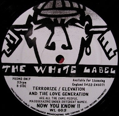 Terrorize , Elevation & The Love Generation - Only Your Love - UK Promo 12'' V...