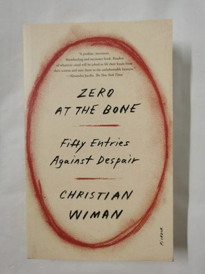Zero at the Bone: Fifty Entries Against Despair