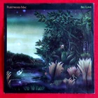FLEETWOOD MAC - BIG LOVE - A1/B1 UK 1987 1st PRESS 7" VINYL EX/VG