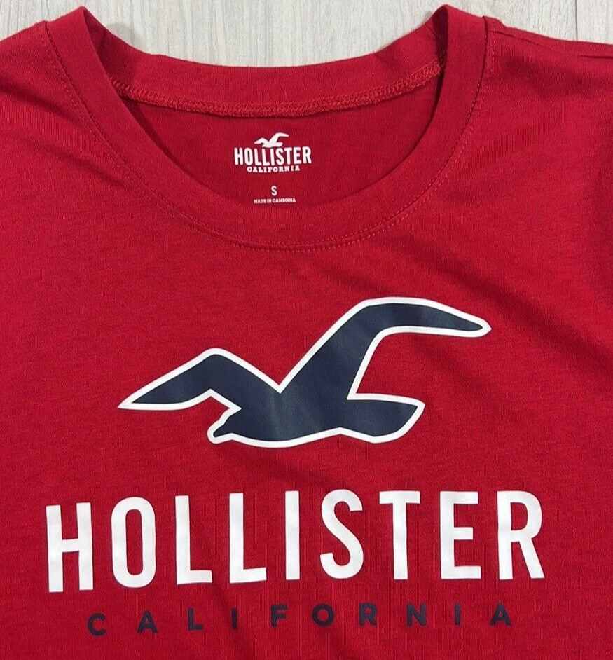 Hollister Co. TIMELESS TECHNIQUE LOGO - Print T-shirt - burg/red