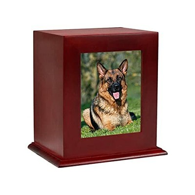 urn for dog ashes