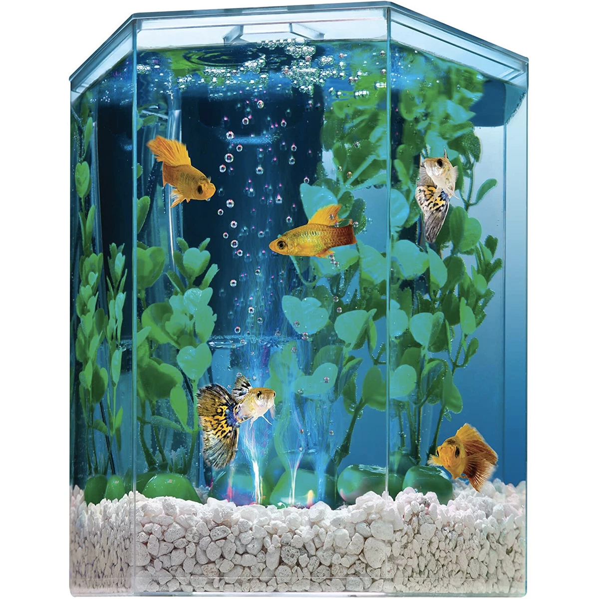 Tetra 1 Gallon Hexagon LED Aquarium Kit with Air Filter Bubbler