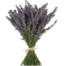 TooGet Natural Lavender Bundles, Freshly Harvested 400 Stems Dried Lavender ...