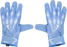 Pete Alonso New York Mets Player-Issued Blue Nike Batting Gloves Item#14341409