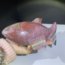 2,2 libbre 7" naturale oceano diaspro squalo cristallo Reiki guarigione intaglio decorazione quarzo