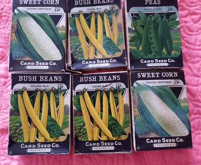 6  Vintage Vegetable Seed Boxes Card Seed Co Fredonia NY