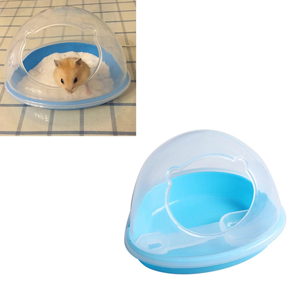Hamster hotsell sand bedding