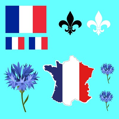 9 x Französisch Aufbügeln Siebdruck Transfer für Stoff Frankreich Flagge Karte Fleur de Lis