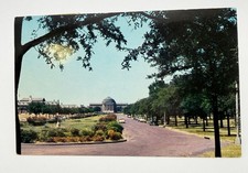 Vintage Postcard Dallas TX Southern Methodist University Campus Hall 1950s