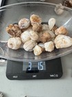  3Lb Lot Chalcedony Quarts Crystal Agate Geodes Nodules Round Mountain Arizona  — photo 4
