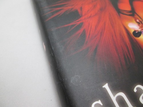 The Immortals Series (Lot 4) Dark Flame, Night Star, Shadowland, Everlasting HC - Picture 10 of 12