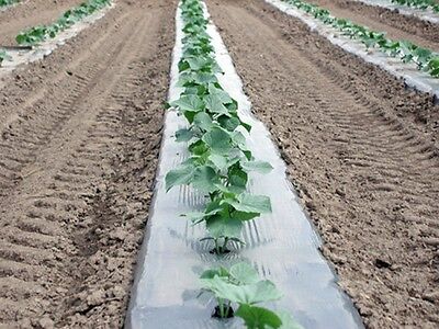 Plastic Mulch Row Cover 48 X4000ft 1mil, How To Garden With Black Plastic