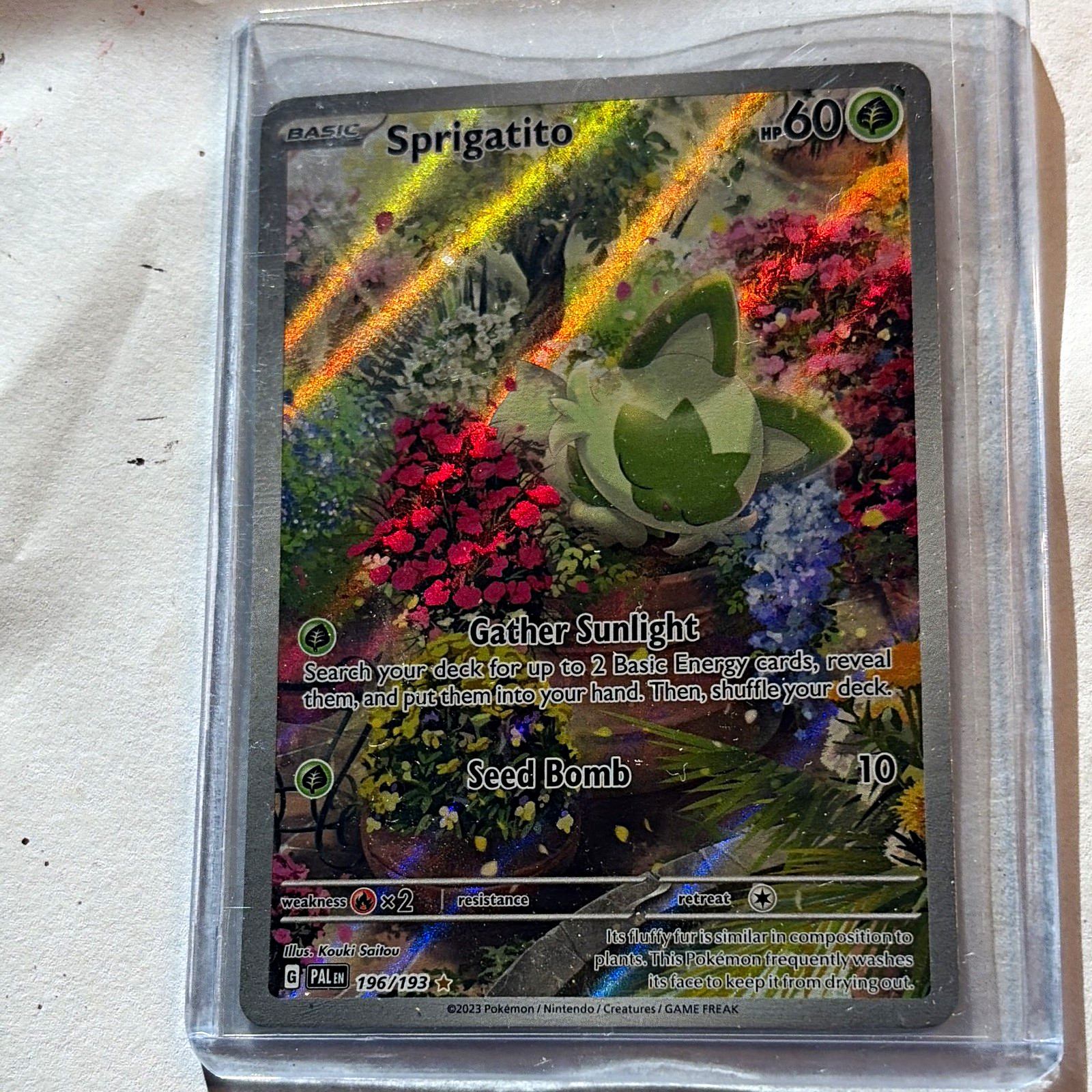 Pokemon Sprigatito 196/193 Sv02 Paldea Evolved Illustration Rare Full Art Holo