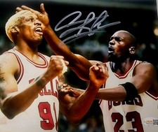 Dennis Rodman Signed METALLIC Photo 8x10  NWO Bulls Worm Autograph HOF JSA HOGAN
