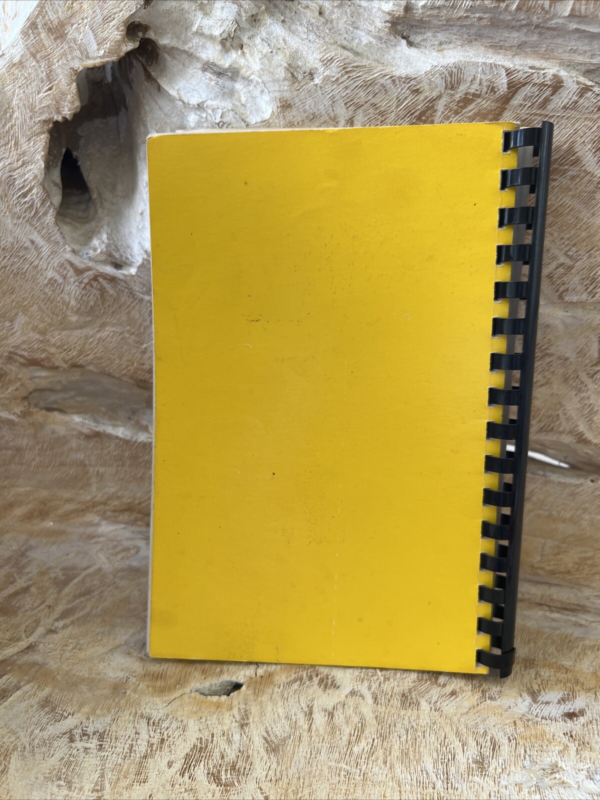 Picture 10 of 10