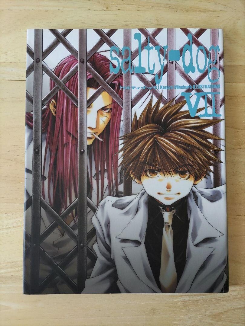 希少☆ KAZUYA / それは、ほんの始まり JAPAN Saiyuki Kazuya Minekura Salty dog 7 & 9 set Art book form