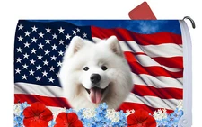 Samoyed Patriotic Mail Box Cover