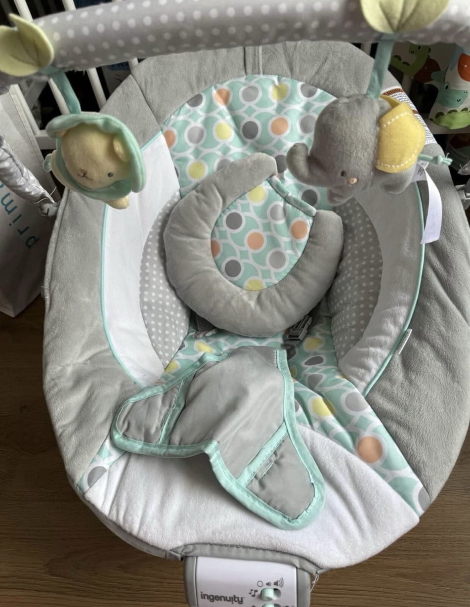 Cradling Bouncer Ingenuity Baby Swing Bouncer Ingenuity 112033 - Main Image