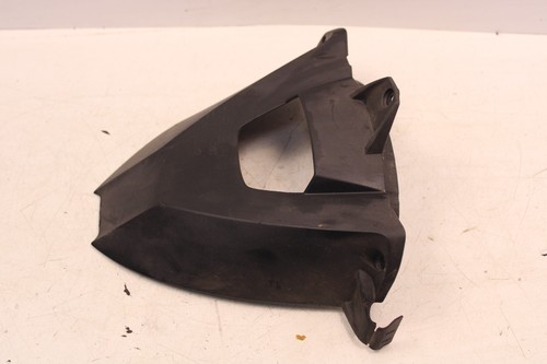 BMW S1000R 2017 Kotflügel hinten