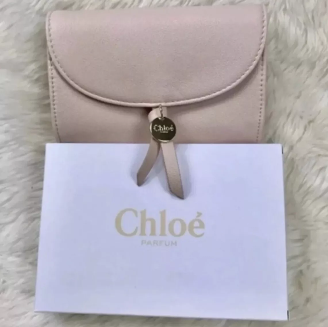 Chloe Small Clutch Pouch Pochette Purse Wallet Bag New In The Box