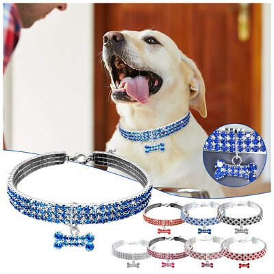 fancy dog leash