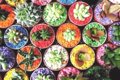 BLUEDECOR 500g Arti Decorative Colorate Arti Mestieri Sabbia Arte Matrimonio Decorazione Floreale 0,5Kg.