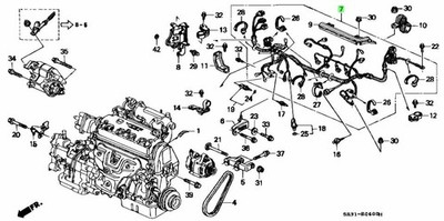 OEM HONDA Engine wire harness Civic EG3/EG4/EG5(Non-VTEC)1992-1995 32110-P26-000