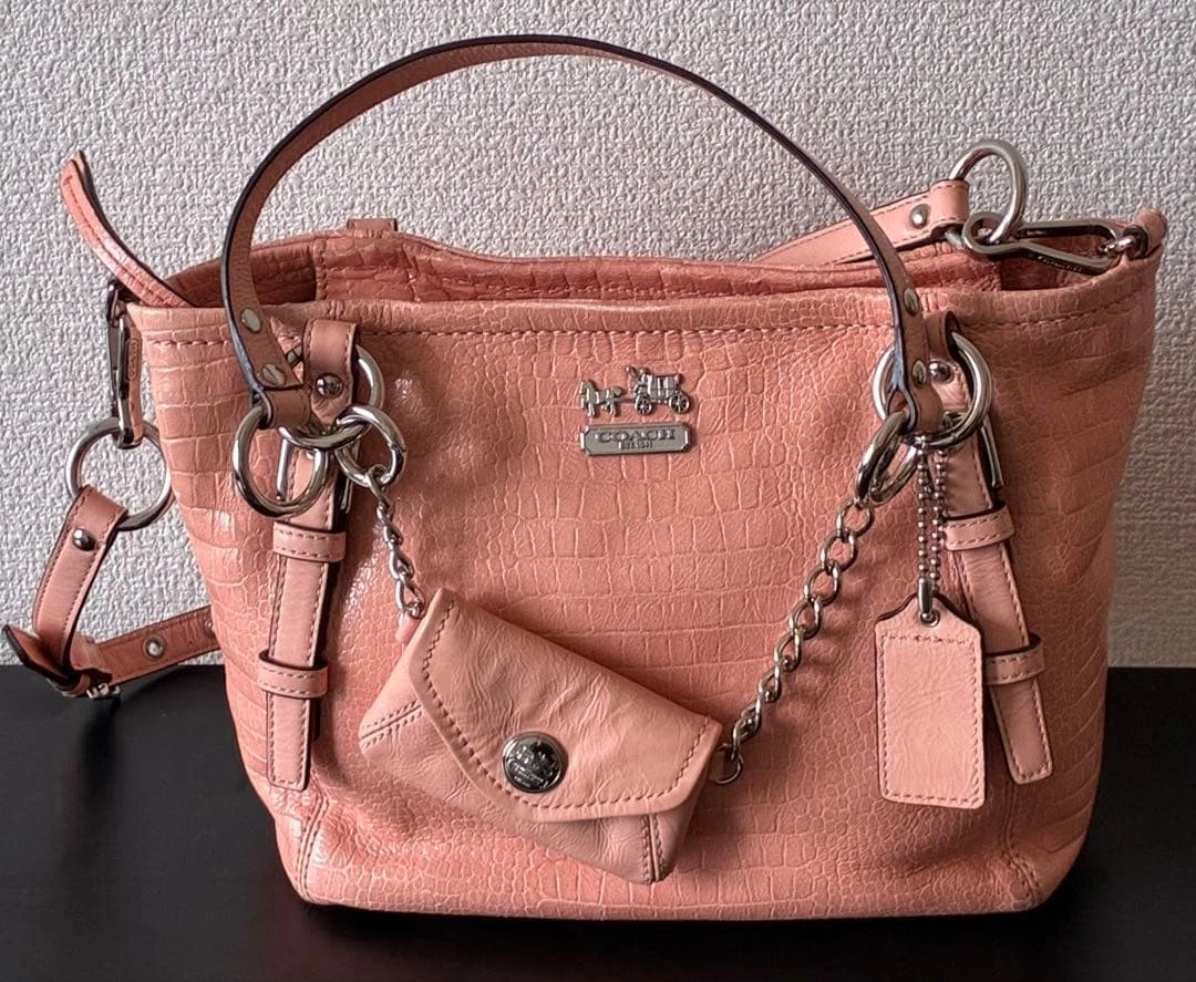 Coach クロスボディ ブラウン バッグ & ハンドバッグ 女性用 | eBay