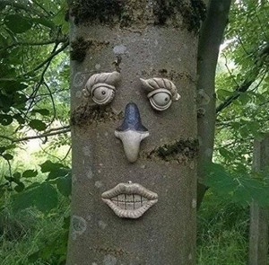 Garden Funny Tree Face Decoration Fence Shed Feature Ornament Eyes