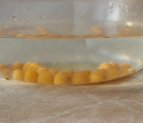 NEW Vintage Original Genuine Amber Necklace Beads 52g /260ct Butterscotch - Picture 4 of 10